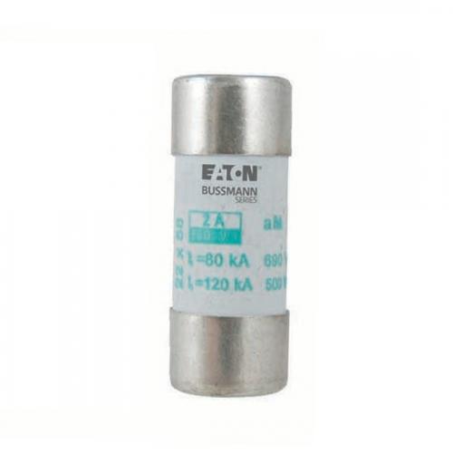 Cylindrical Bussmann fuses